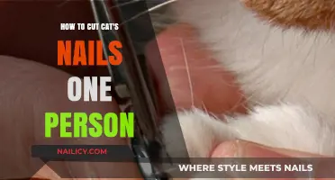 Trimming Your Cat's Nails: A Solo Mission