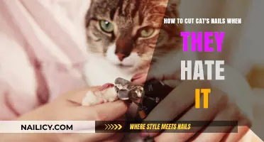 Calmly Trim Your Cat's Nails: Tips and Tricks