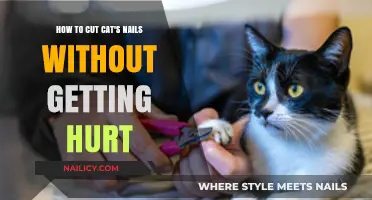 Purr-fectly Safe: Trimming Your Cat's Nails Without Tears
