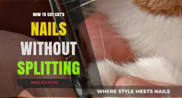 Trimming Your Cat's Nails: A Safe and Easy Guide