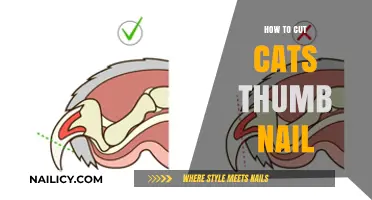 Trimming Your Cat's Thumb Nail: A Step-by-Step Guide