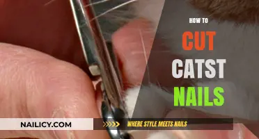 Trimming Your Cat's Nails: A Step-by-Step Guide