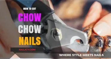 Trimming Your Chow Chow's Nails: A Step-by-Step Guide