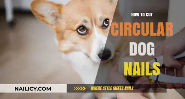 Trimming Your Dog's Nails: A Circular Approach