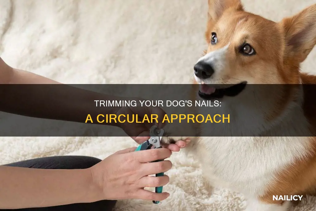 how to cut circular dog nails