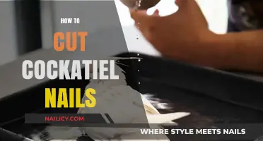 Trimming Cockatiel Nails: A Step-by-Step Guide