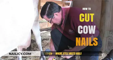 Cows Need Manicures: Trimming Their Nails Safely