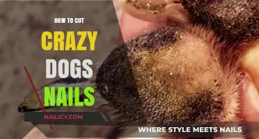 Calmly Clipping Your Dog's Nails