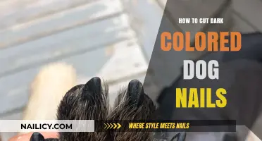 Trimming Dark Nails: A Guide for Dog Owners