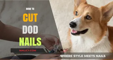Trimming Dog Nails: A Quick Guide to Nail Care