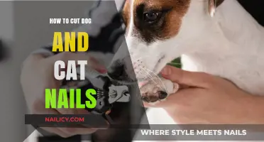 Trimming Pet Nails: A Guide for Cats and Dogs