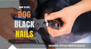 Trimming Black Nails: A Safe Guide for Dog Owners