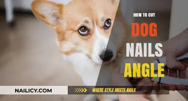 Trimming Dog Nails: The Right Angle Approach