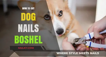 Trimming Dog Nails: The Boshel Way