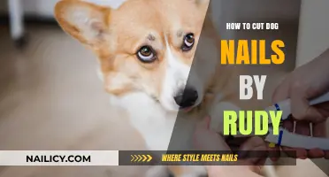Trimming Dog Nails: A Guide by Rudy