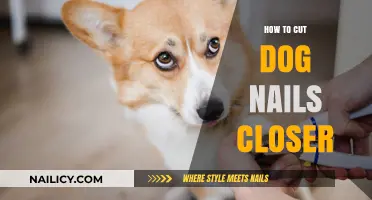 Trimming Dog Nails: Getting Closer Safely
