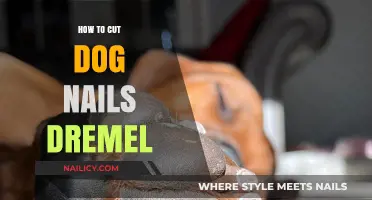 Trimming Dog Nails: Dremel Tool Tips and Tricks