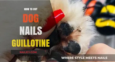Trimming Dog Nails: Using a Guillotine Safely