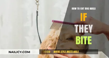 Calmly Trim Your Dog's Nails: A Biting Issue