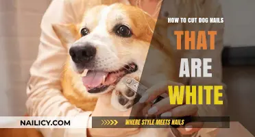 Trimming White Dog Nails: A Safe and Easy Guide