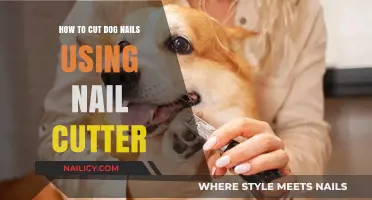 Safely Trimming Your Dog's Nails: A Step-by-Step Guide