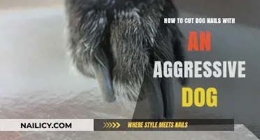 Calmly Trimming Your Aggressive Dog's Nails