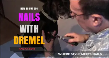 The Best Way to Trim Dog Nails: Dremel Edition