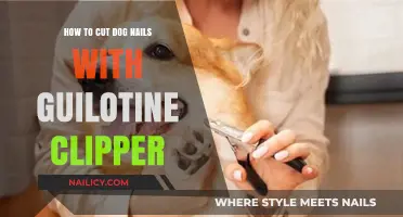 Trimming Dog Nails: Using Guillotine Clippers Safely