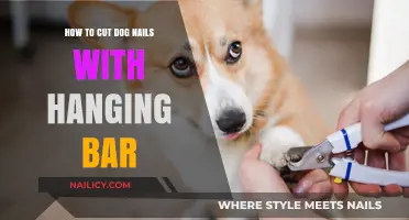 Trimming Dog Nails: Using a Hanging Bar Safely