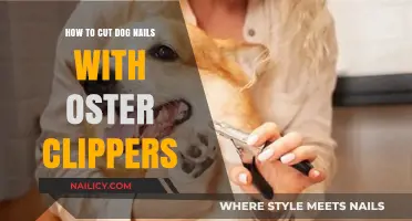 Trimming Dog Nails: Using Oster Clippers Safely