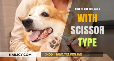 Trimming Dog Nails: Using Scissor-Type Clippers Safely