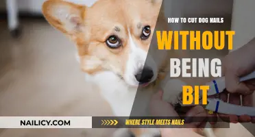 Calmly Clipping Nails: Avoiding Dog Bites