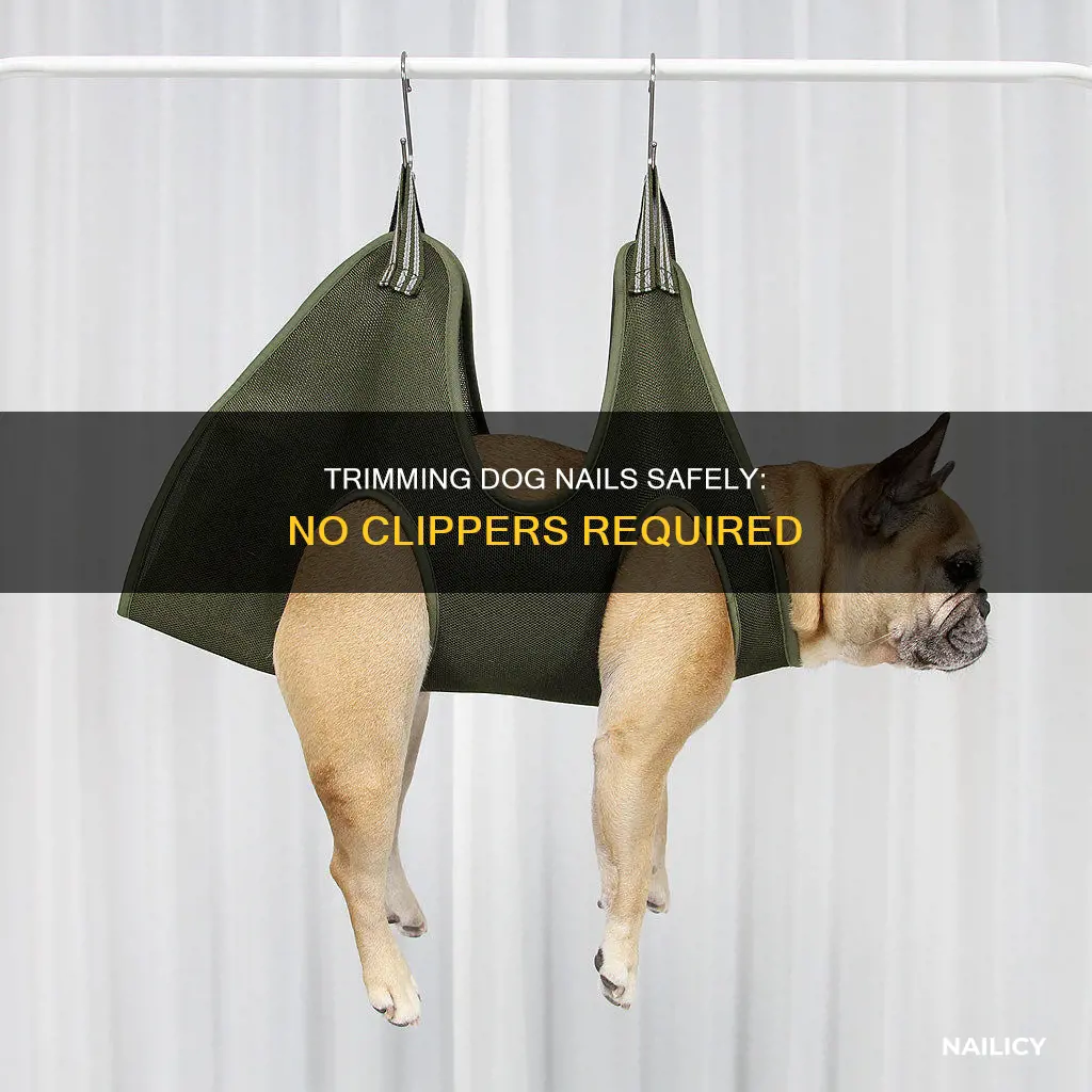 how to cut dog nails without clippers