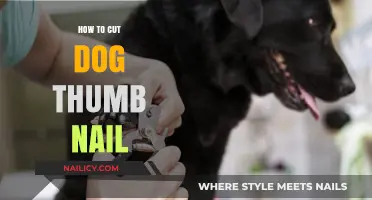 Trimming Your Dog's Thumb Nail: A Step-by-Step Guide