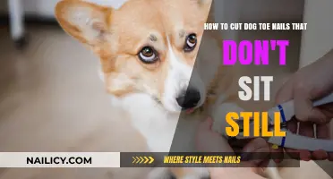 Cutting Nails: Tricks for Restless Dogs