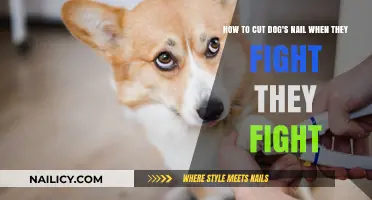 Calmly Cutting Your Dog's Nails When They're Anxious