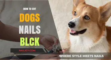 Trimming Black Dog Nails: A Safe and Easy Guide