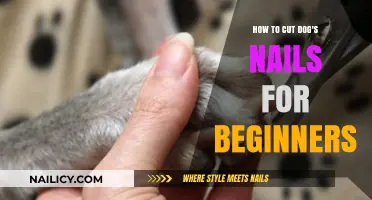 Trimming Dog Nails: A Beginner's Guide to Safe Clipping