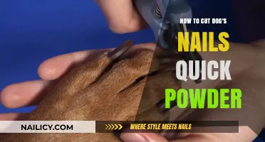 Trimming Dog Nails: The Quick Powder Method