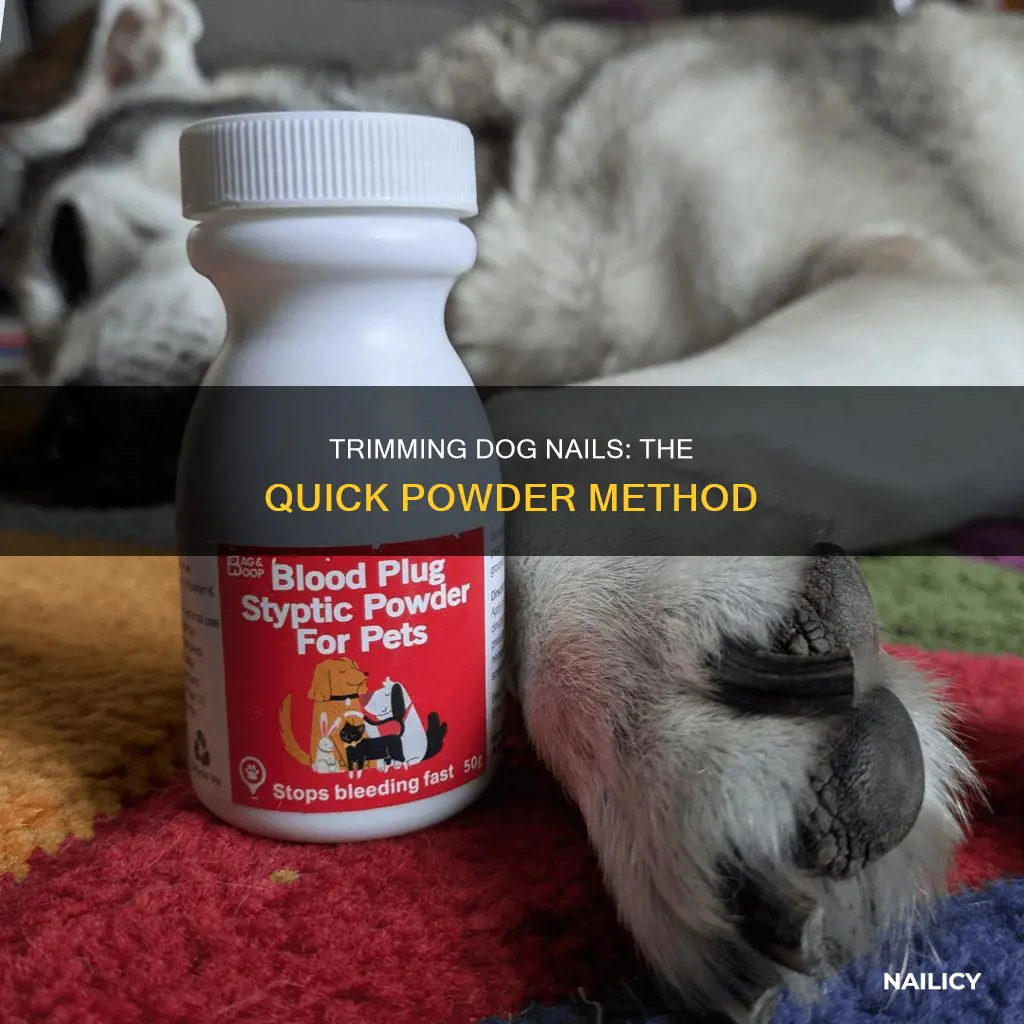 Visual Reference: Trimming Dog Nails The Quick Powder Method