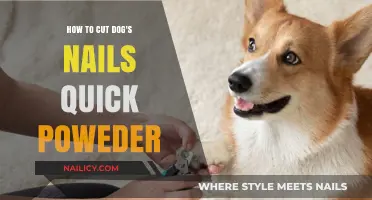 Trimming Dog Nails: Quick and Easy Powder Method