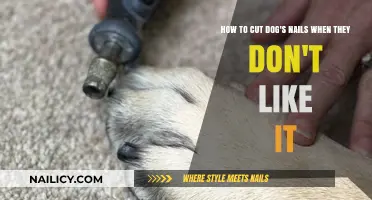 Calmly Trim Your Dog's Nails: Tips and Tricks