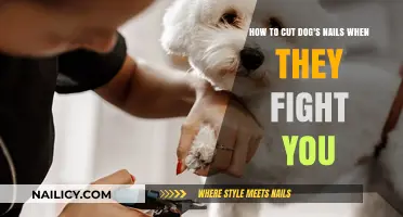 Calmly Trim Your Dog's Nails: A Step-by-Step Guide