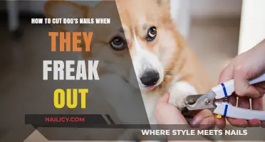 Calmly Trim Your Dog's Nails: A Step-by-Step Guide