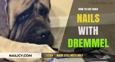 Trimming Dog Nails: Dremel Tool for Safe and Easy Clipping