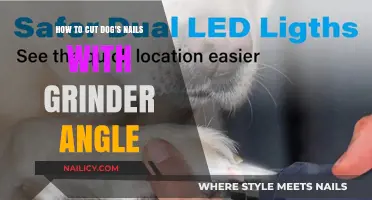 Trimming Dog Nails: The Perfect Grinder Angle