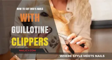 Guillotine Clippers: Trimming Your Dog's Nails Safely