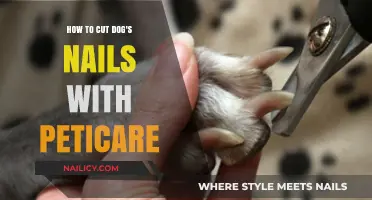 Trimming Dog Nails: A Stress-Free Guide with Peticare