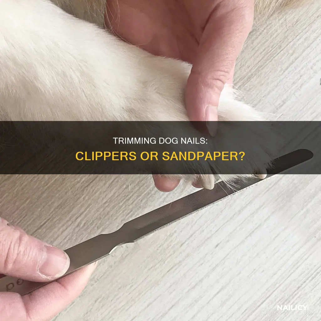 how to cut dog