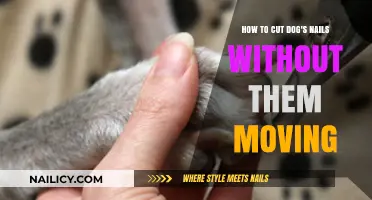 Calmly Trim Your Dog's Nails: A Step-by-Step Guide